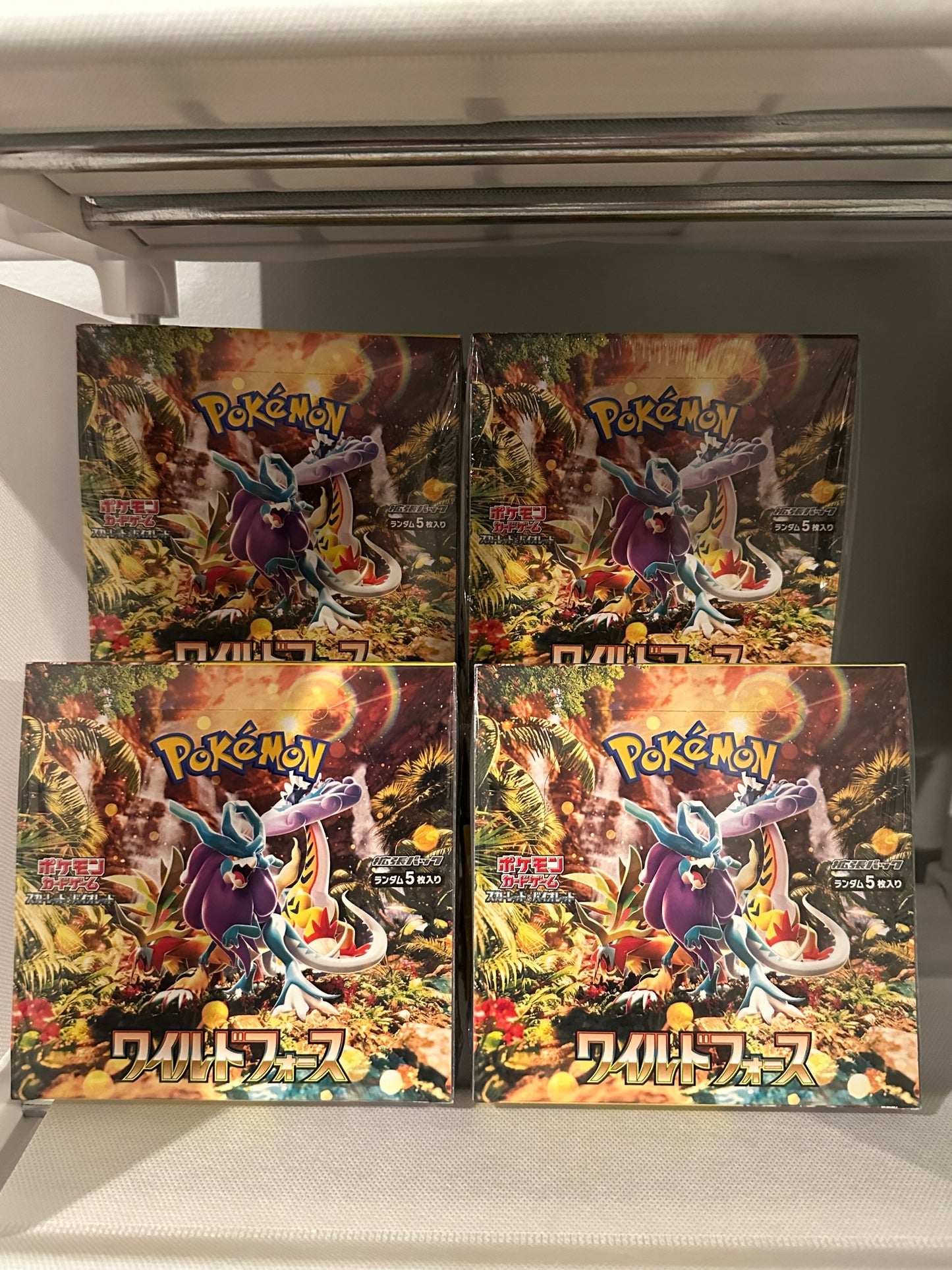 Pokemon Graded Card Collector's Box