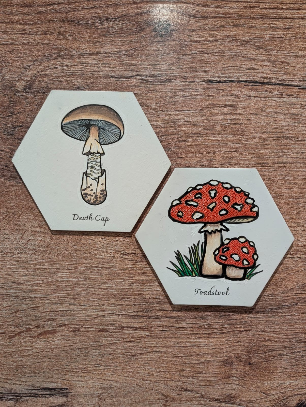 DIY Mushroom Canvas Painting Set - Death Cap & Toadstool - 2 Pack Hexagon Canvases