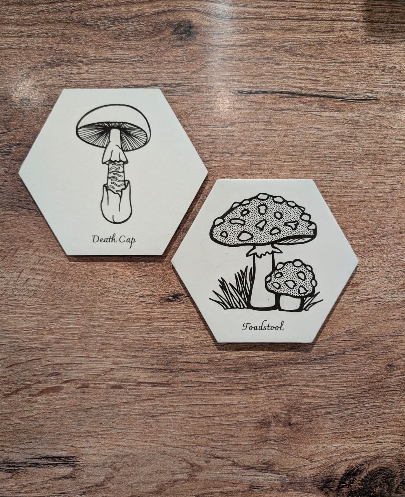 DIY Mushroom Canvas Painting Set - Death Cap & Toadstool - 2 Pack Hexagon Canvases