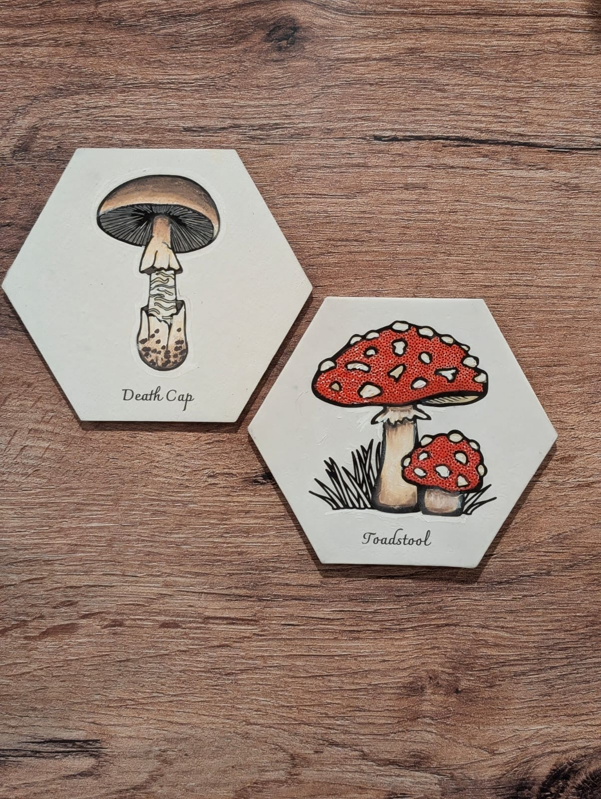 DIY Mushroom Canvas Painting Set - Death Cap & Toadstool - 2 Pack Hexagon Canvases