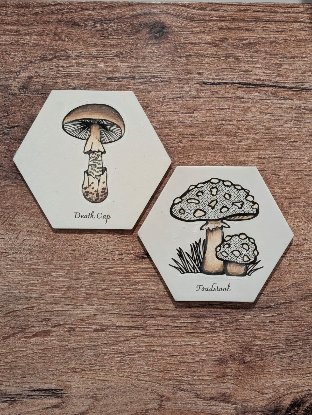 DIY Mushroom Canvas Painting Set - Death Cap & Toadstool - 2 Pack Hexagon Canvases