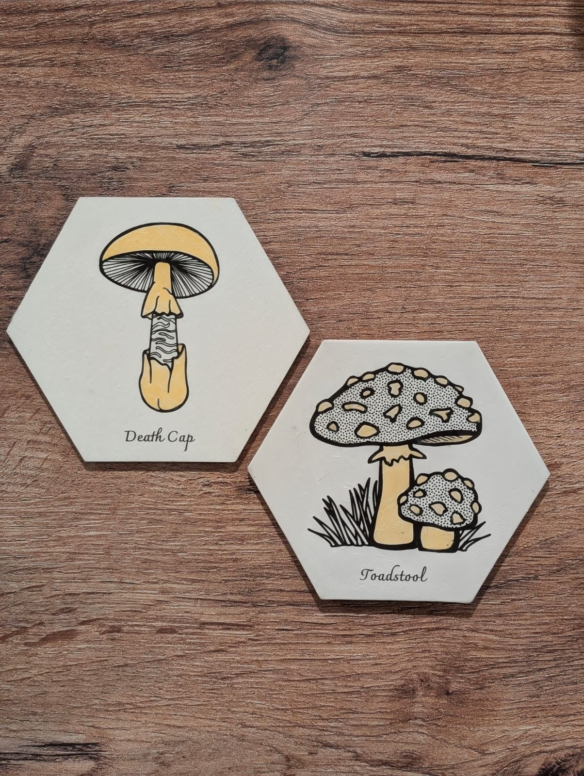 DIY Mushroom Canvas Painting Set - Death Cap & Toadstool - 2 Pack Hexagon Canvases